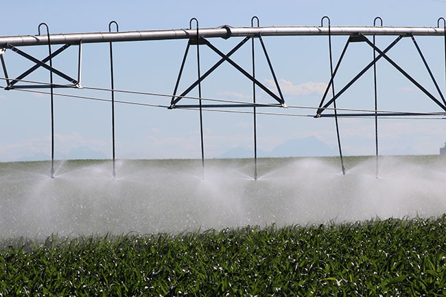 Making the most of your pivot irrigation - Top Crop ManagerTop Crop Manager