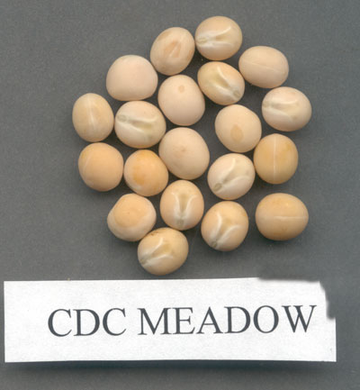 WTCM-6-2a-CDC-Meadow-(yellow)