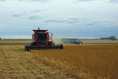 wtcm-26-10--harvest-soybeand
