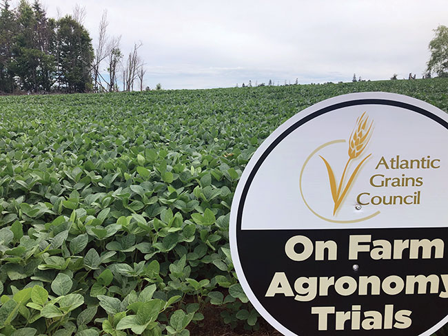 ETCM18-1-soybean-trials-with-sign-Ron-Coles-RGC-Consulting