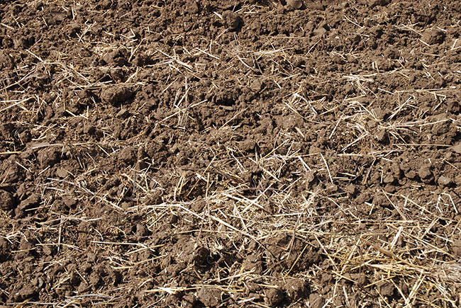 tilled-soil