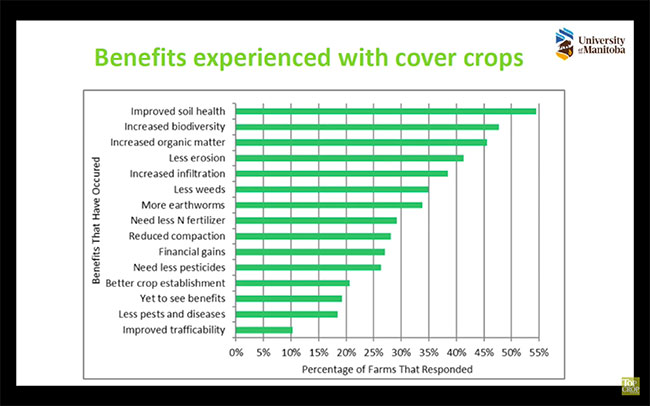 Benefits-of-cover-crops
