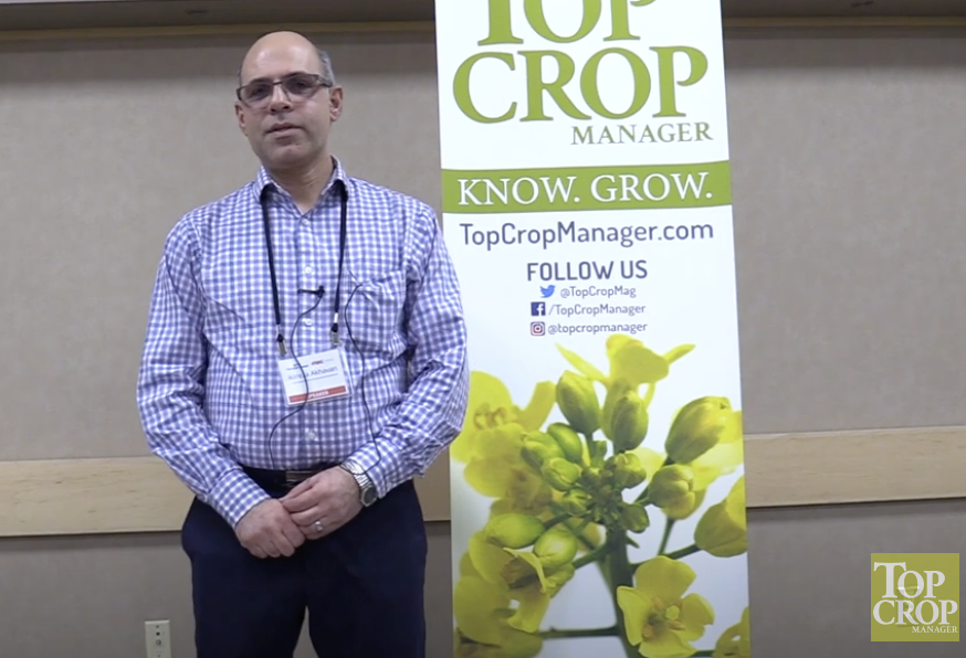 Video: Top Crop Summit 2023 interview series –  Verticillium stripe of canola in Saskatchewan